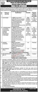 Skardu Development Authority SDA Jobs November 2023